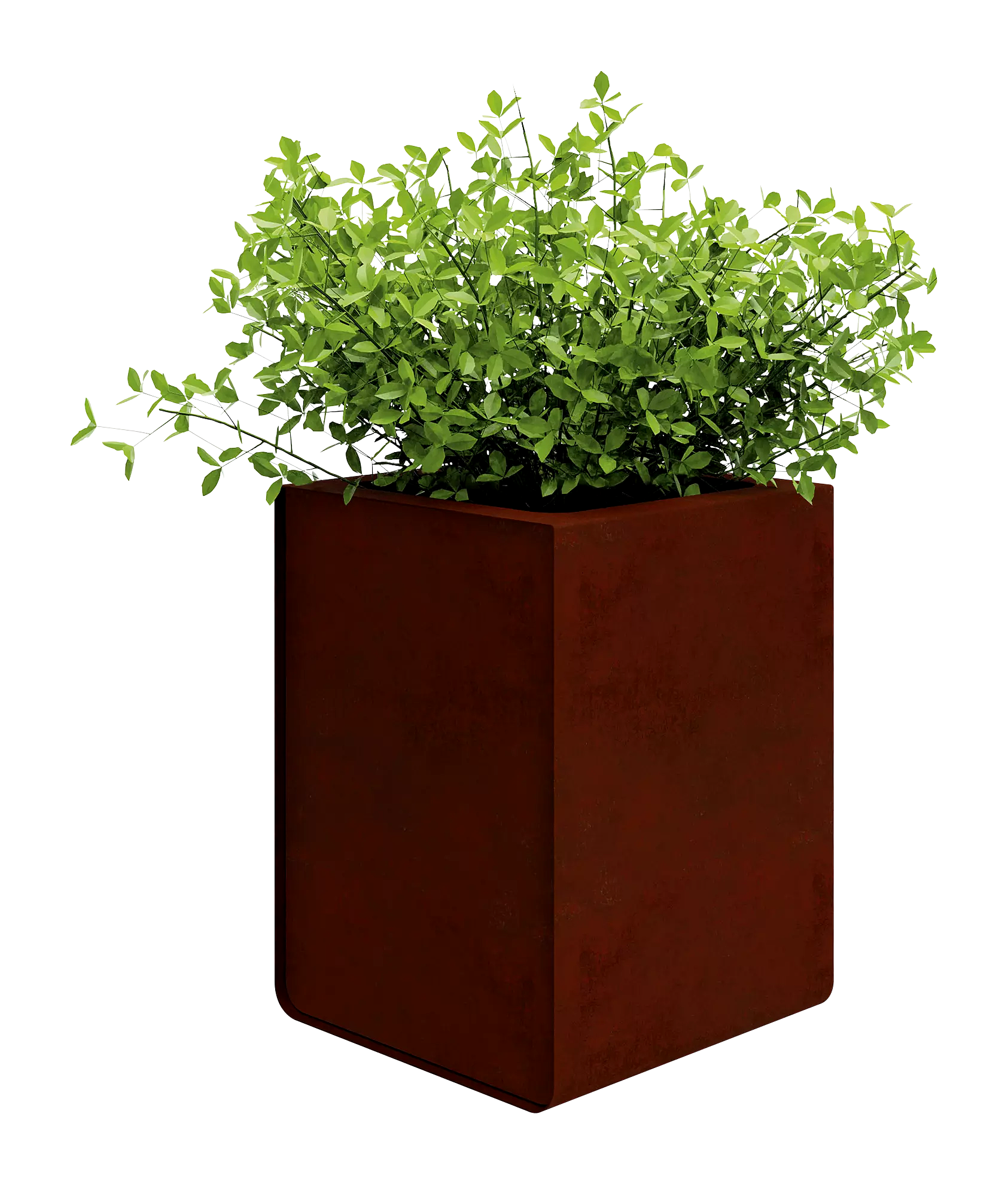 Vorschau: 2657_F_004 Vorschau: 2657_F_004